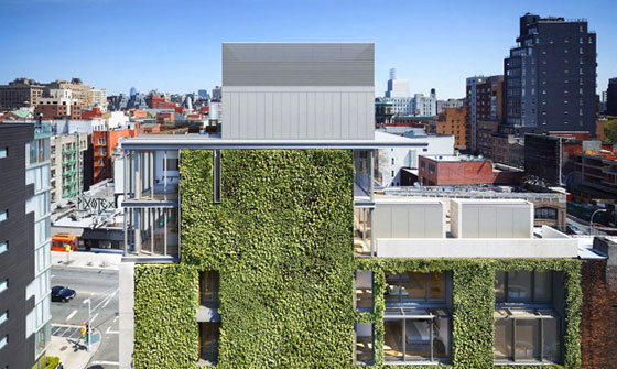 17-метрова зелена стена на жилищна сграда ще е най-голямата в Ню Йорк