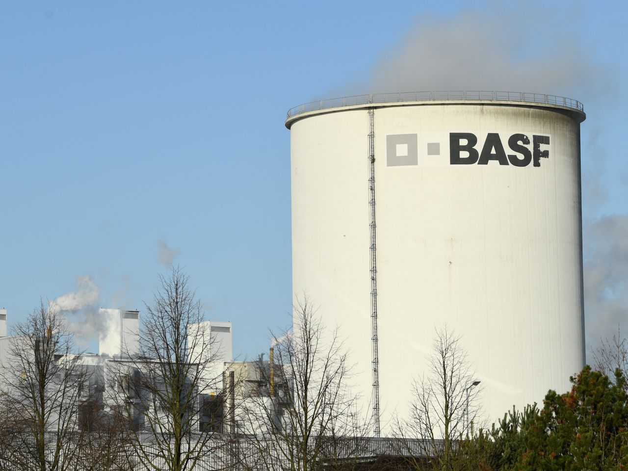 BASF 3