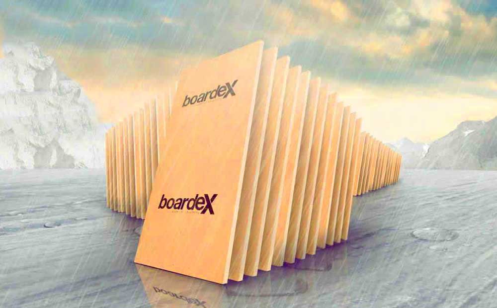 BoardeX